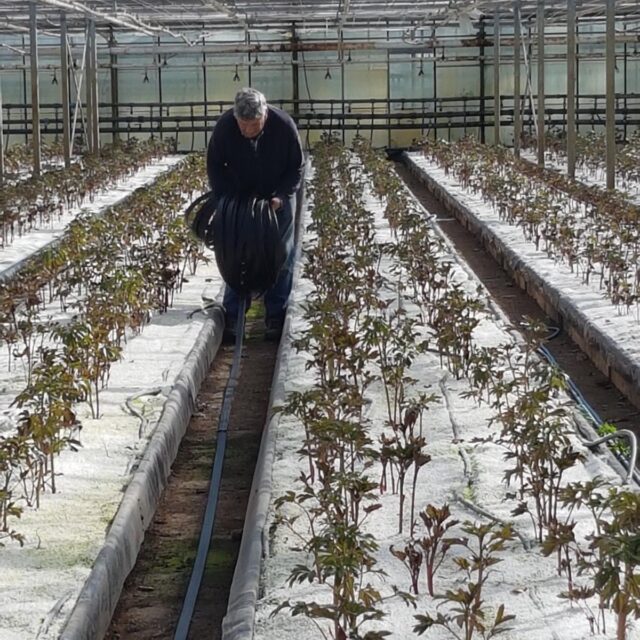 Peony Farm - TruHeat Systems