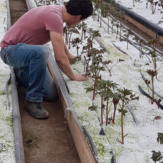 Peony Farm - TruHeat Systems